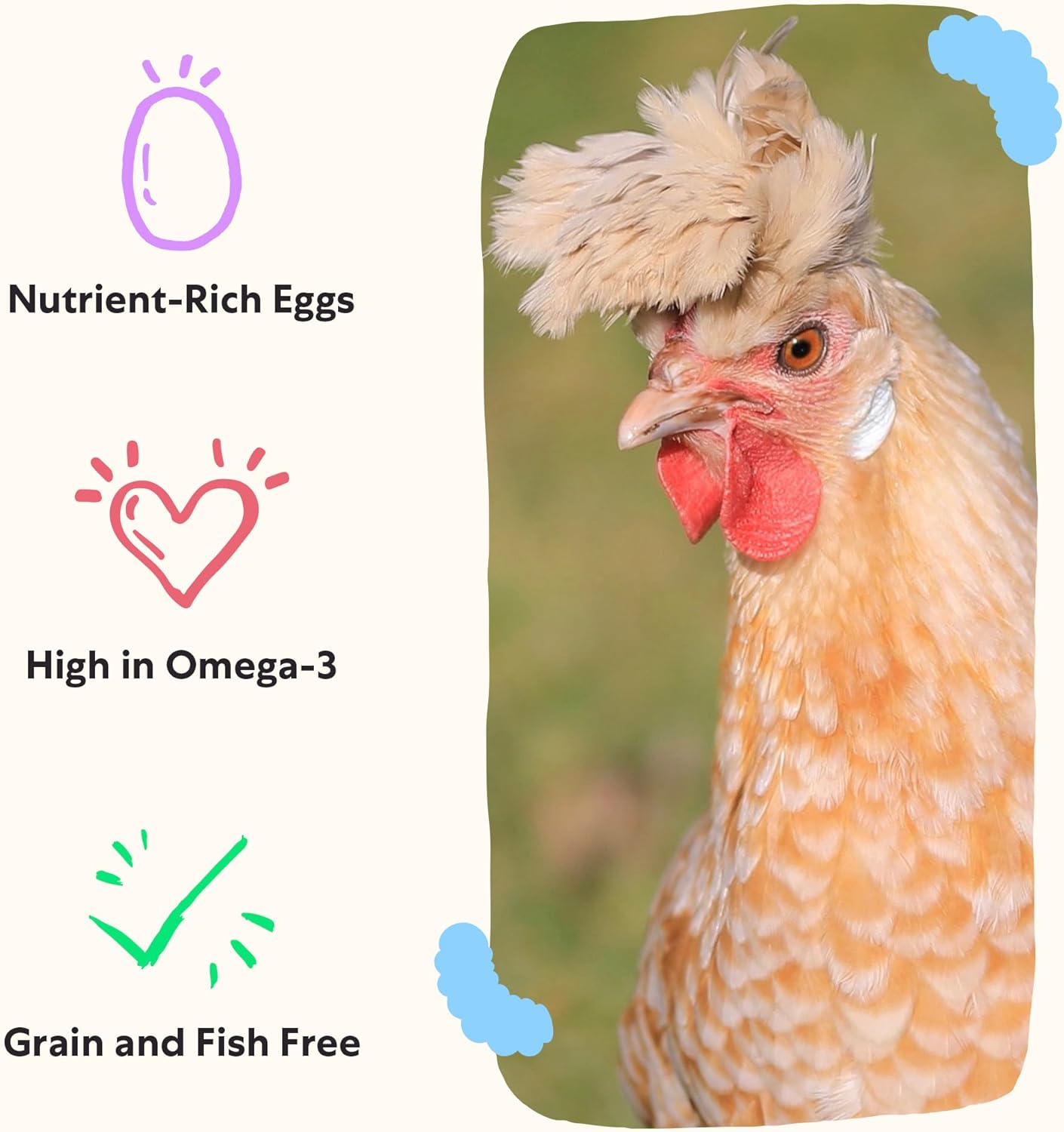 Grubbly Farms Omega Mix Chicken Treats for Laying Hens - Superfood and Omega-Rich Chicken Feed Supplement to Support Egg Production, Strong Eggshells and Nutritious Yolks - 5LB