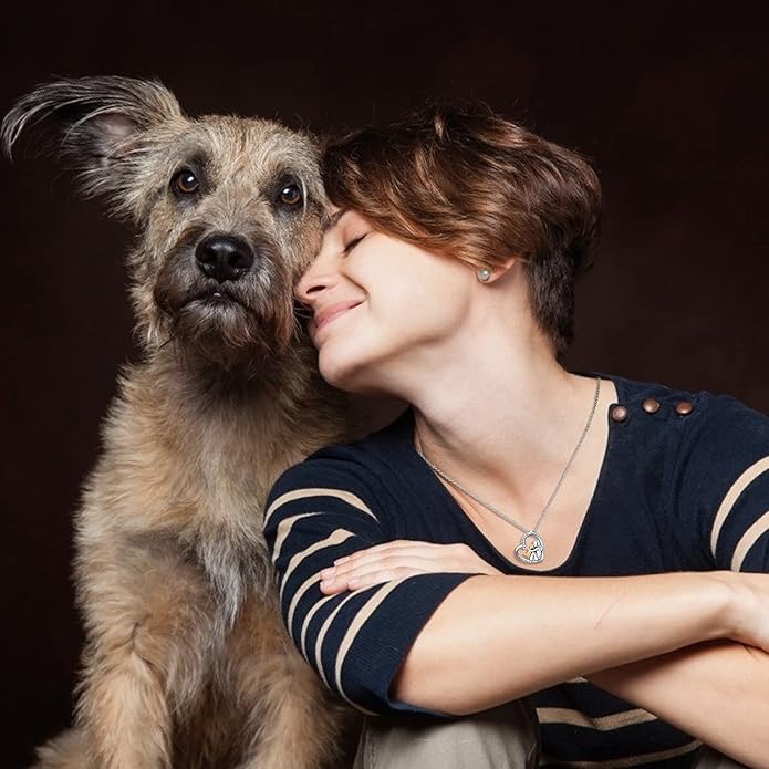 JUSTKIDSTOY Dog/Cat/Hummingbird Urn Necklace for Ashes S925 Sterling Silver Heart Cremation Jewelry Keepsake Memorial for Women