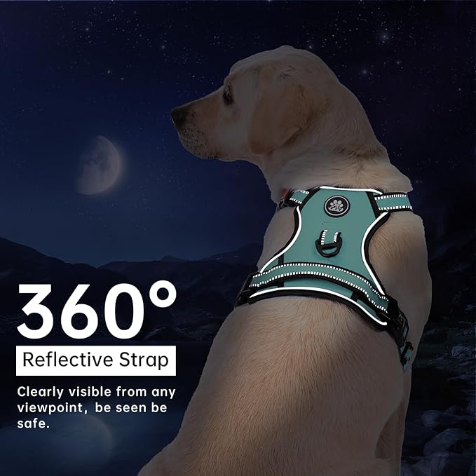 IVY&LANE No Pull Dog Harness with Leash Set, Reflective No Choke Pet Vest,Adjustable Oxford Dog Vest Harness with Easy Control Handle for Medium Dogs (Turquoise,M)
