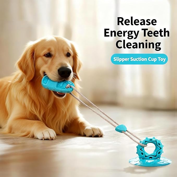 Dog Toys for Aggressive Chewers, Indestructible Interactive Chew Toy with Suction Cup, Long Lasting Durable Molar Grinder for Boredom Energy Relief, for Small Medium Large Dogs Puppy Teething Toys