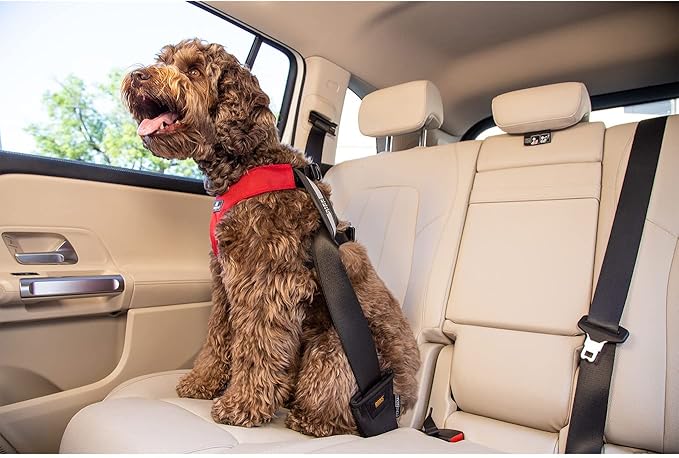 Clickit Sport Plus - Crash-Tested and Safety Certified Car Seat Belt Harness for Dogs (Large, Olive Green)