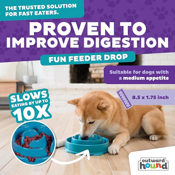 Outward Hound Fun Feeder Slo Bowl – Medium 2‑Cup Capacity, Slow Feeding, Small to Medium Dogs & Cats, Non-Slip, Turquoise, Drop Pattern (Pack of 12)