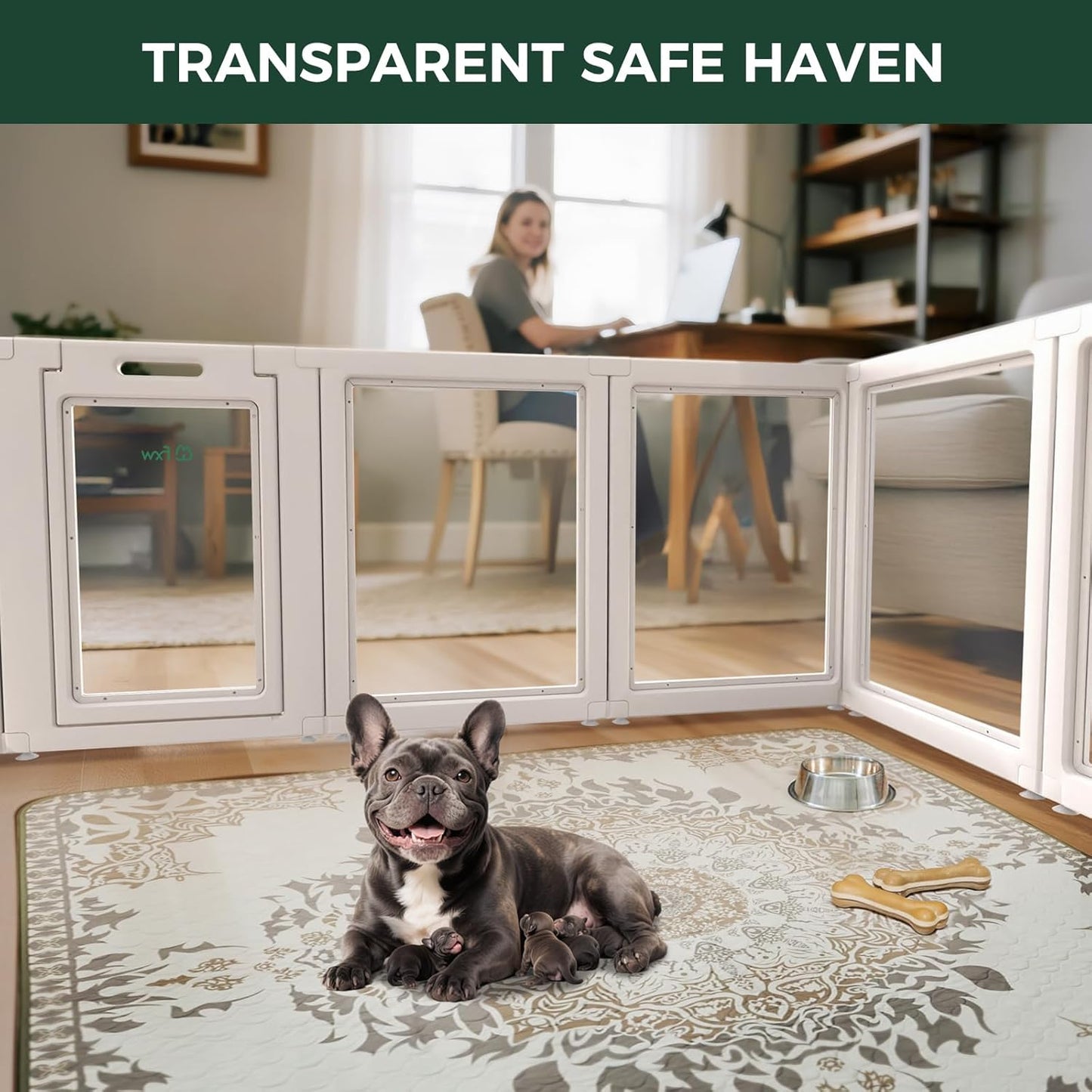 FXW AuraSpace Acrylic Indoor Unleashed Dog Playpen for Small and Medium Dogs, 30 Inch, 12 Panels, White