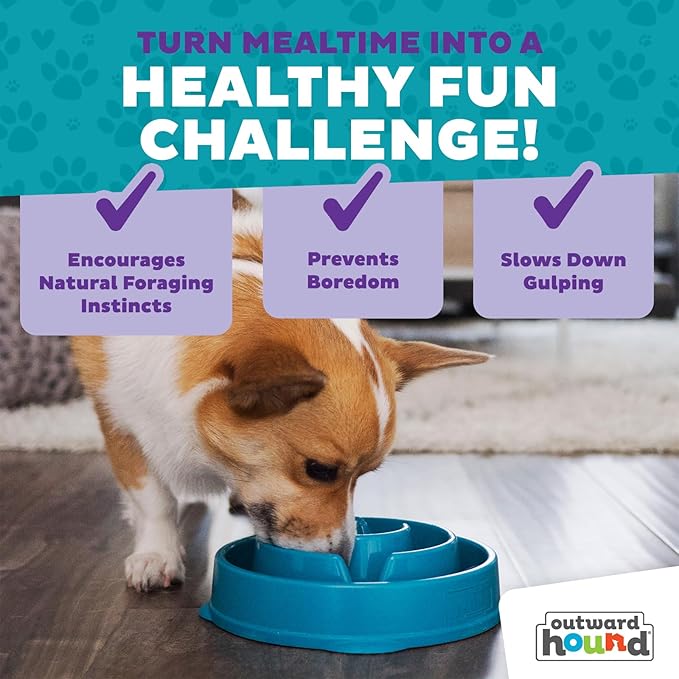 Outward Hound Fun Feeder Slo Bowl – Medium 2‑Cup Capacity, Slow Feeding, Small to Medium Dogs & Cats, Non-Slip, Turquoise, Drop Pattern (Pack of 12)