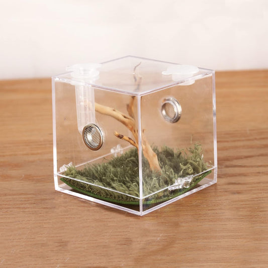 crapelles Jumping Spider Micro Big Habitat, Small Pet Insect Breeding Box, 360 Degree High Transparent Reptile Cage, Acrylic Case Mini Carrier for Amphibians, Feeding Container Enclosure Accessories
