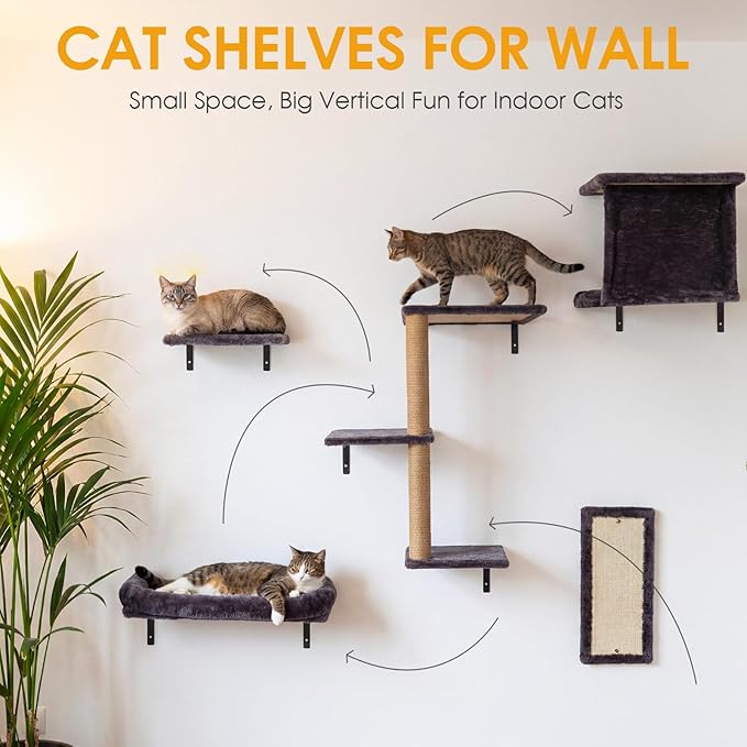 5 in 1 Large Cat Wall Shelves Hanging Tree Perch Bed Shelf Climbing Systems with Hammock