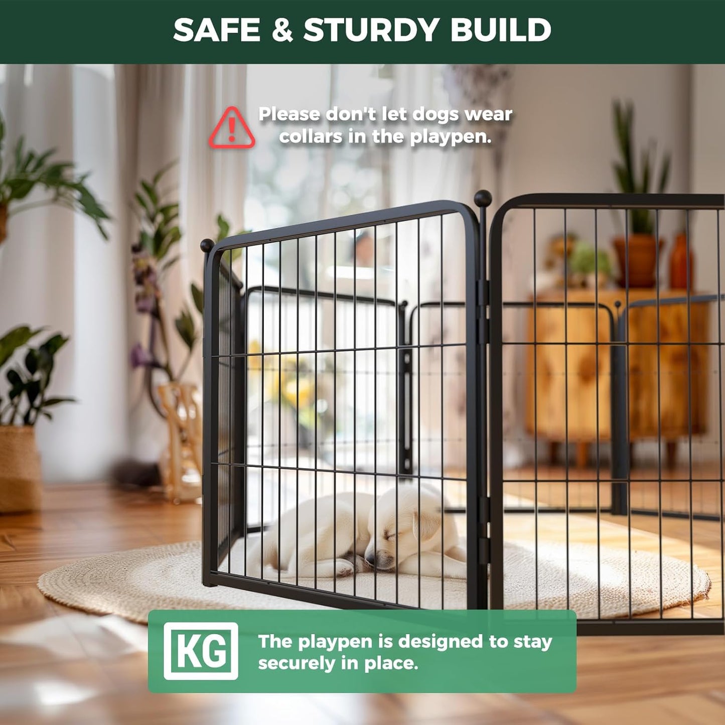 FXW Homeplus Unleashed Indoor Dog Playpen - Stress-Free and Safe Play, Heavy Duty 24 Inch 6 Wire Panels Dog Pen for Puppy and Small Dogs, Black│Patented