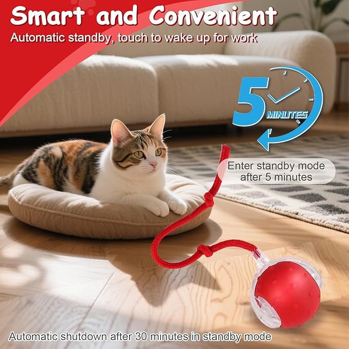 Interactive Cat Toys Smart Ball for Cats & Dogs! Now with 2 Rapid Tails. Features: 360°Auto-Rolling, Motion Activation& Bird Sounds. Perfect for Indoor Pet Exercise & Fun. (Red＆Blue)