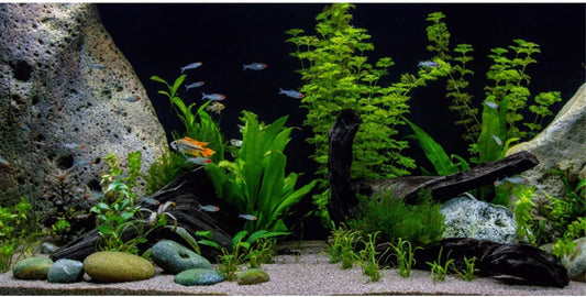 AWERT Vinyl Underwater Aquatic Plant Fish Tank Background Stone River Bed & Lake Aquarium Background 48x18 inches