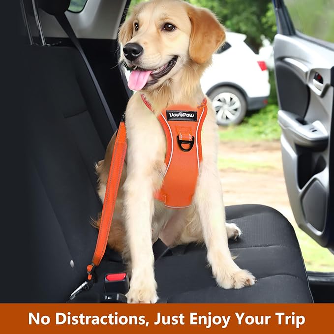 Dog Seat Belt Harness for Car, Dog Car Harness Adjustable Mesh Breathable & Dogs Seatbelt Safety Tether with Elastic Bungee for Small Medium Large Pets(Orange, S)