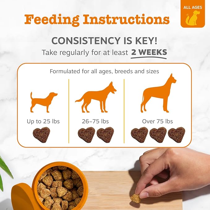 Zesty Paws Dog Allergy Relief Chews, Dog Probiotics for Itchy Skin and Ears, Lamb, 90ct