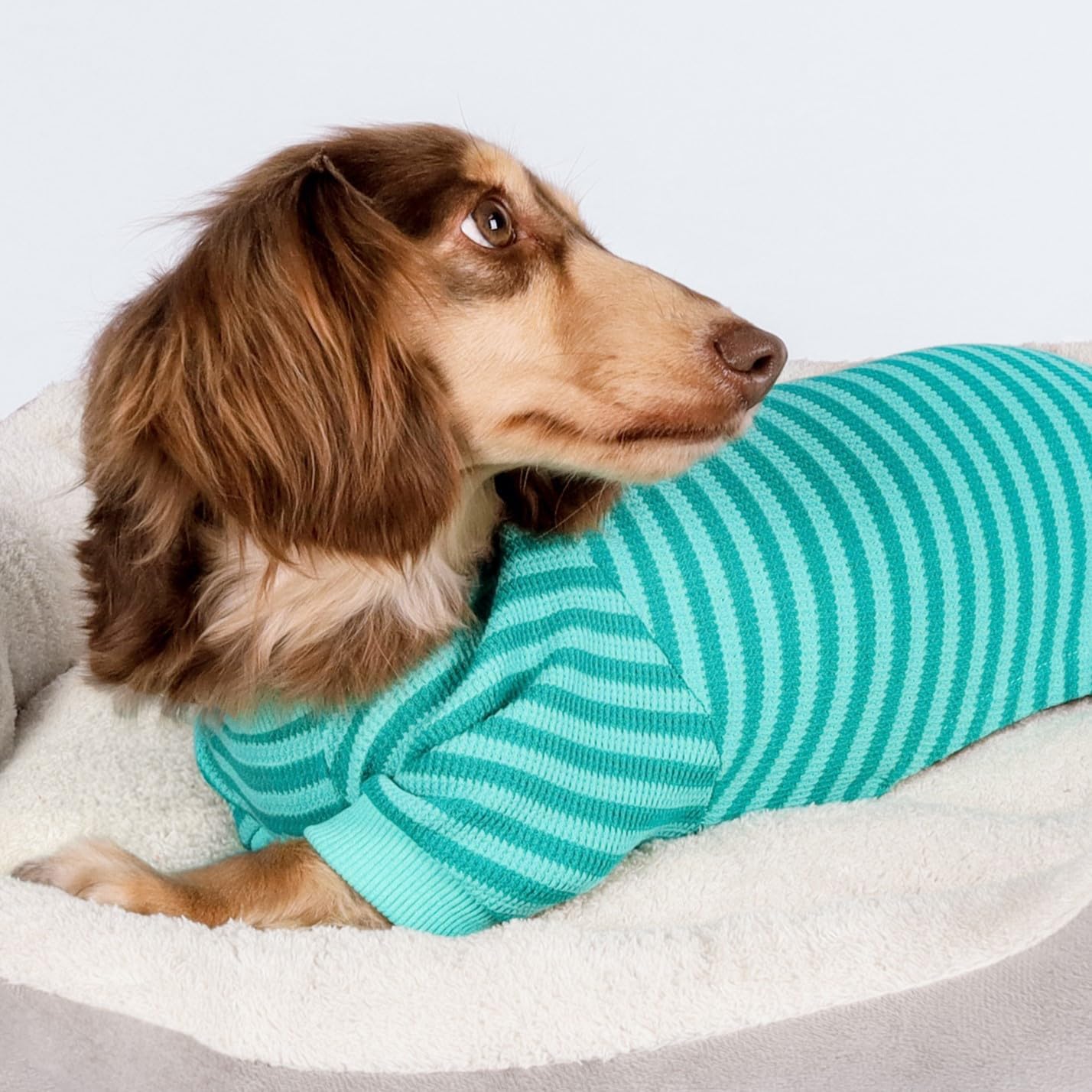 Fitwarm Green and Teal Striped Dog Pajamas, Waffle Dog Clothes for Small Dogs Girl Boy, Puppy Onesie with Feet, Pet Cat Outfit, Medium