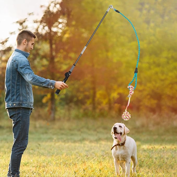 Flirt Pole for Dogs with 4 Rope Chew Toys, Dog Flirt Pole with Carry Bag for Outdoor Training and Exercise, Detachable Teaser Wand for Small, Medium Dogs