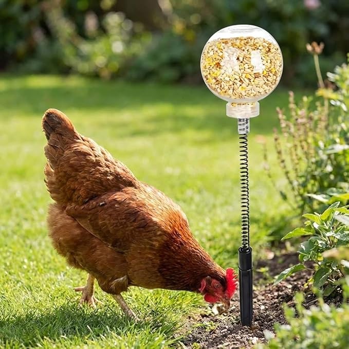 2 Pack Chicken Pecking Toys, Chick Interactive Slow Feed Enrichment Toy, Chicken Swing Feeder with Spring and Ground Stake, Coop Accessories for Hens Poultry Duck Birds Parrots