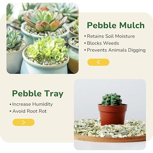 GreatBuddy 10-lb Decorative Rocks for Indoor Plants, 3/8" Jade Pebbles for Planters, Gravel for Succulent, Vases, Bamboo, Garden Landscaping, Crafts, Aquariums, Natural Polished