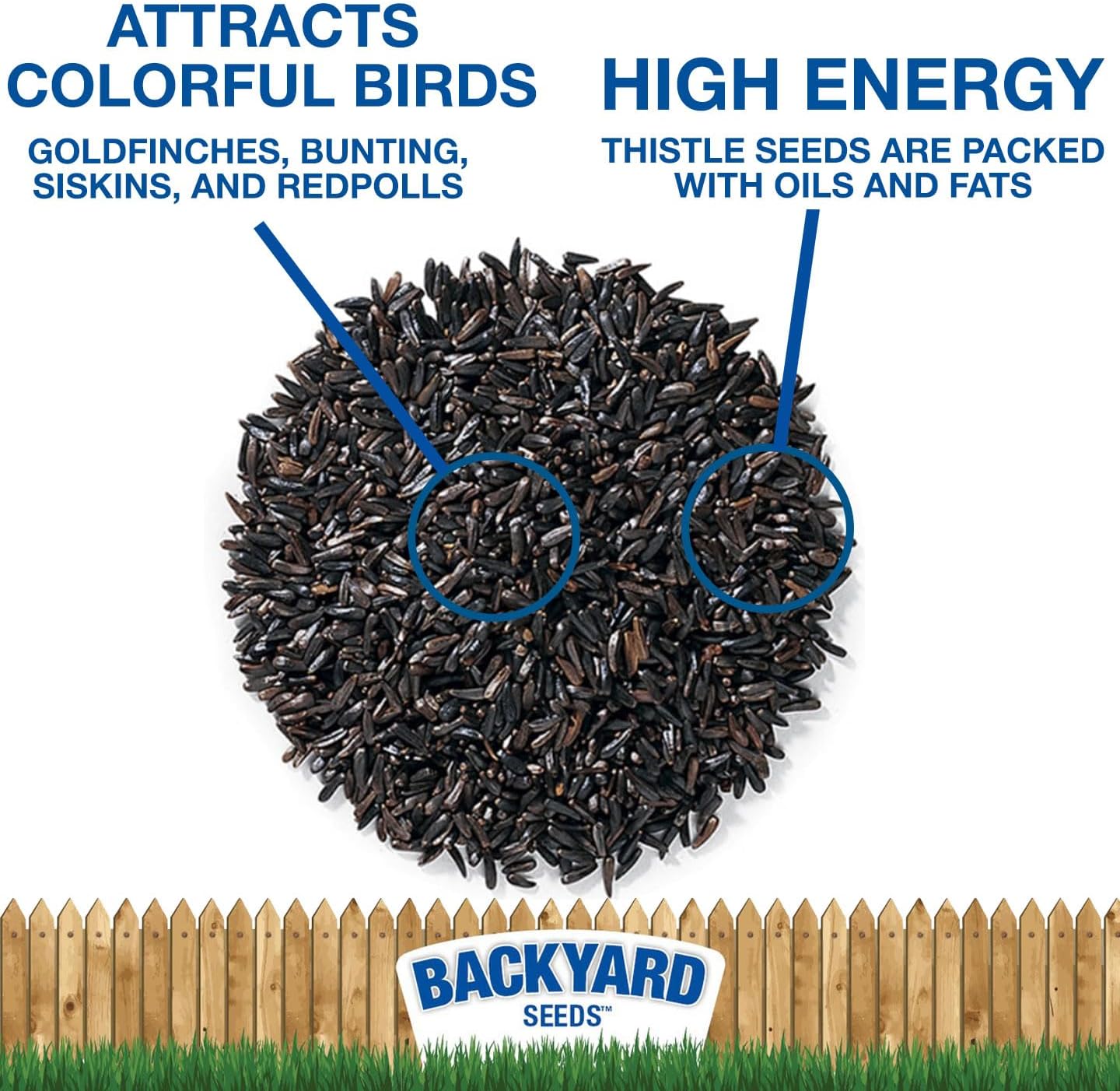 Thistle Seed for Finches – Premium Wild Bird Food for Goldfinches, Siskins & Small Songbirds | High-Energy, No-Filler, Cleaned Seed 7 lbs