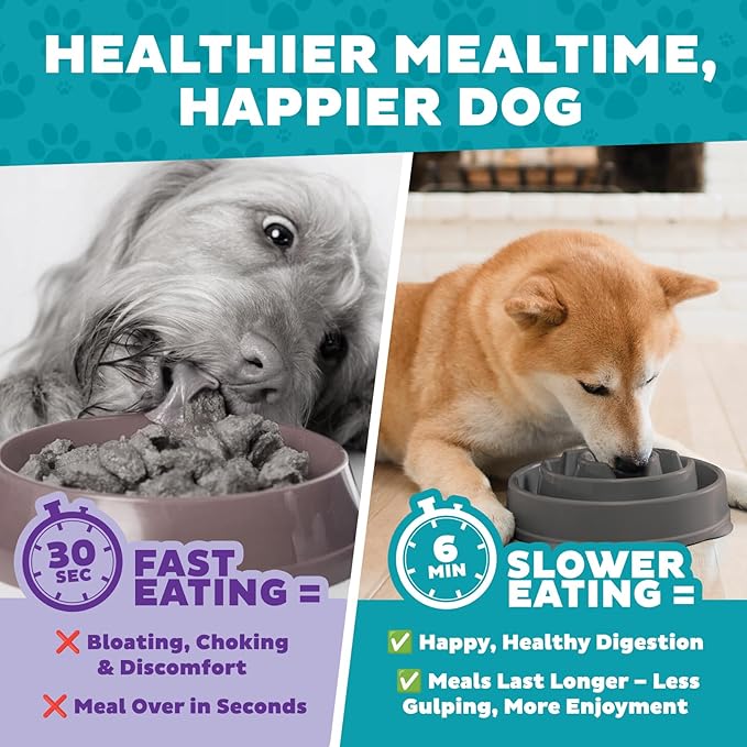 Outward Hound Fun Feeder Slo Bowl – Medium 2‑Cup Capacity, Slow Feeding, Small to Medium Dogs & Cats, Non-Slip, Gray, Drop Pattern (Pack of 12)
