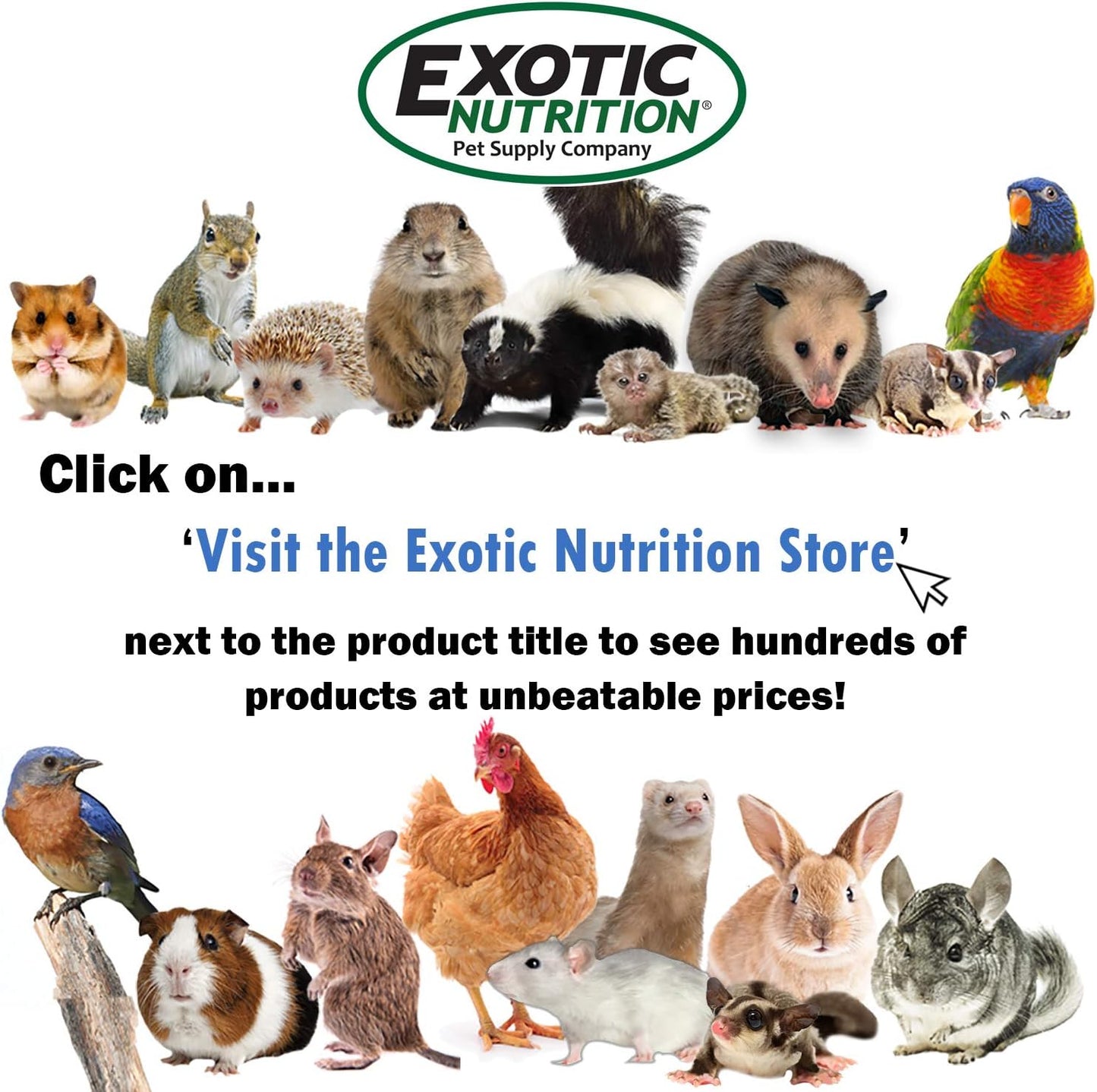 Exotic Nutrition Sugar Glider Vitamin Combo Pack - Powder Multivitamin & Powder Calcium Supplement for Pet Sugar Gliders