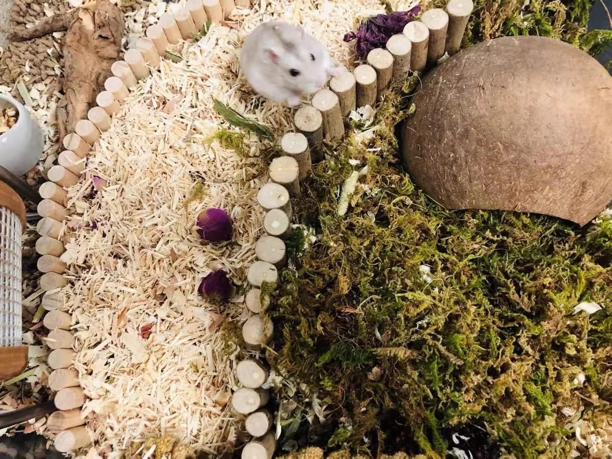 5L Forest Moss for Hamster Syrian Gerbils Bedding, Natural Moss Perfect for Potted Plants, Terrariums, Reptile Tanks and Live Creature Projects