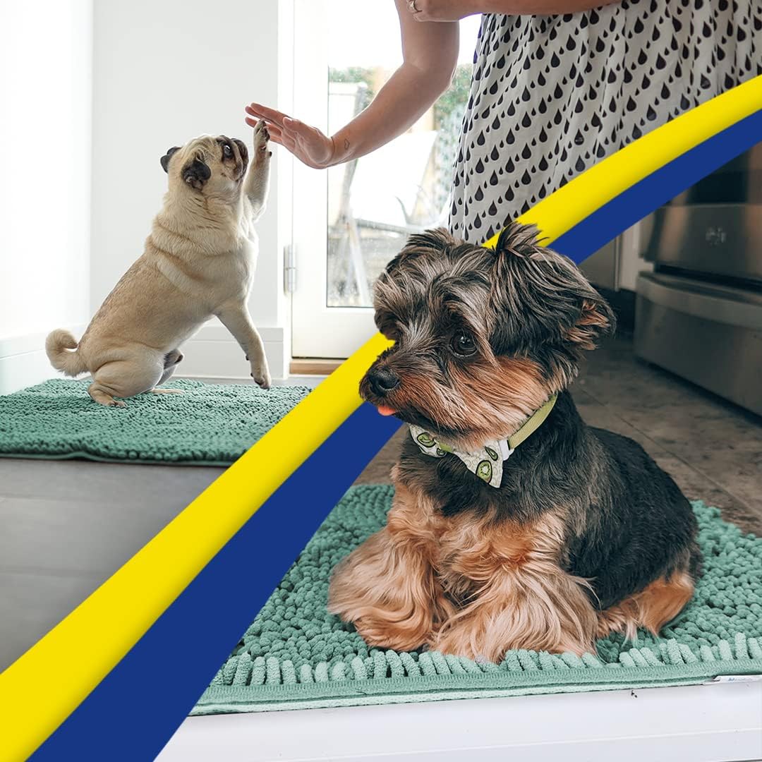 Muddy Mat® Shown on TV–Super Absorbent Microfiber Dog Door Mat for Muddy Paws, Non-Slip Washable Pet Rug, Quick Dry Chenille Entryway Carpet, Machine Washable Indoor Outdoor mat–Seafoam Green 59"x35"