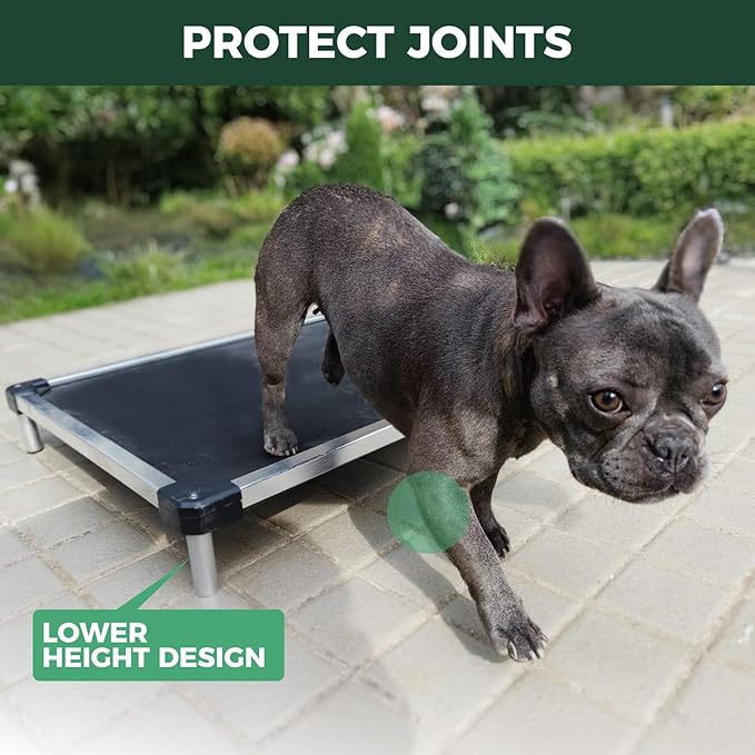 FXW TitanNest Chew-Proof Elevated Dog Bed, Raised Cot for Indoor/Outdoor/Camping Use, Durable & Waterproof Cooling Pet Bed for Small Dogs, 36.0" L x 24.0" W x 4.5" H, Black