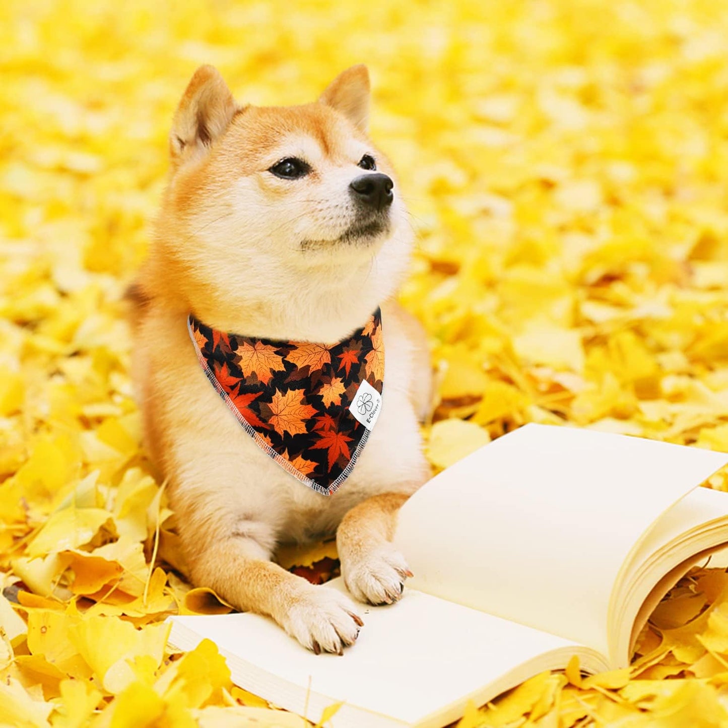 E-Clover Fall Dog Bandana & Matching Scrunchie Set Pet Scarf Kerchief Bibs Dog Outfit for Small Dogs Puppy Owner Gifts Orange Black Maple Leaves