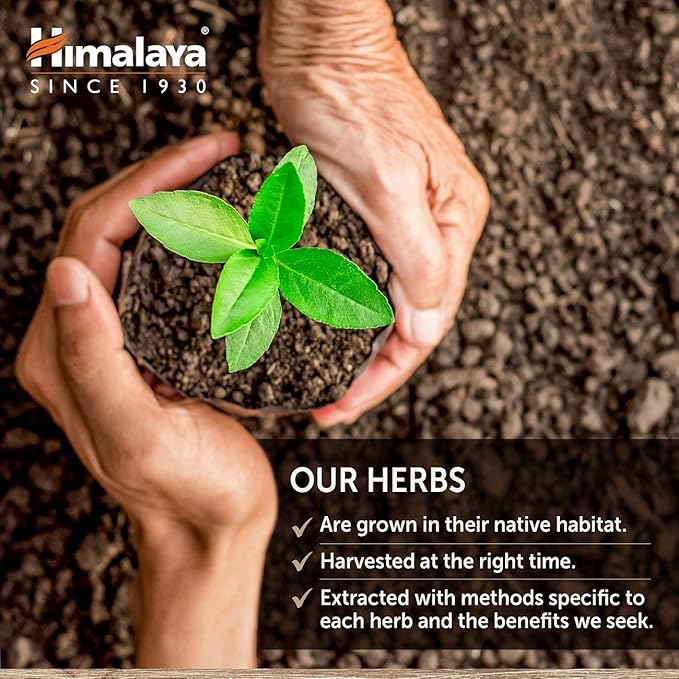 Himalaya GlucoCare – Herbal Glucose Metabolism & Pancreatic Support with Bitter Melon, Gymnema, Triphala & Turmeric – Natural Blood Sugar Support – Vegan, Non-GMO, Gluten-Free – 90 Capsules