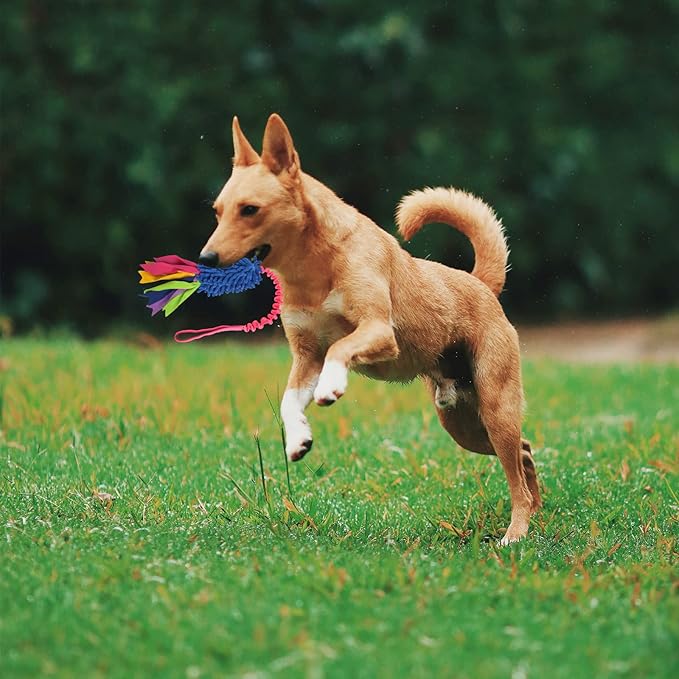 wodoca Dog Tug Toy, Dog Toys for Aggressive Chewers - Strong Squeak Rope Toy, Easy to GRAP Chew Toy for Large Dogs, Puppies, Middle Dogs - Ideal for Training and Play, Hand Made