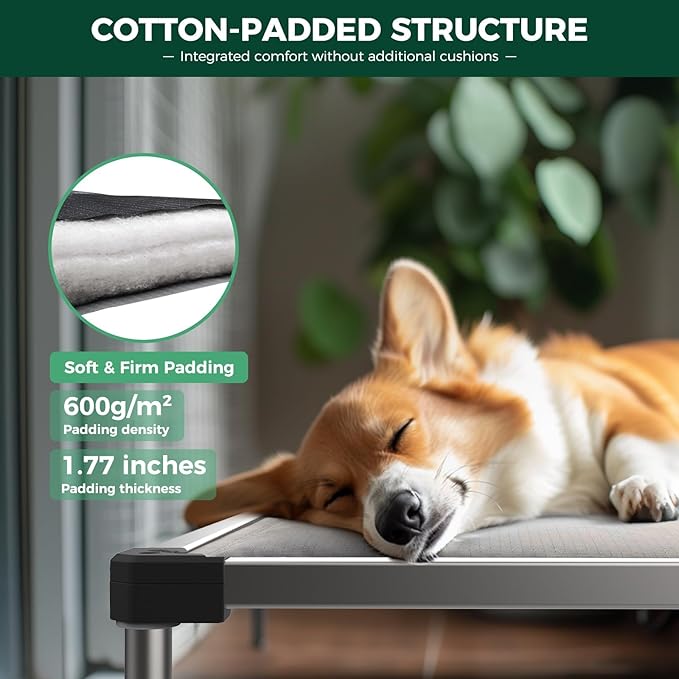 FXW TitanNest Chew-Proof Elevated Dog Bed, Raised Cot for Indoor/Outdoor/Camping Use, Durable & Washable Padded Pet Bed with Exclusive Cover for Small Dogs, 35.0" L x 22.0" W x 4.5" H, Gray