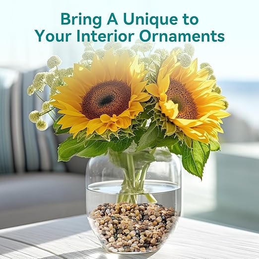 5 lbs Small Rocks for Plants, 1/5 Inch Gravel for Plants Drainage, Decorative Potting Pebbles for Indoor Plants, Vases, Bamboo, Succulent, Terrarium, Crafts, Cactus