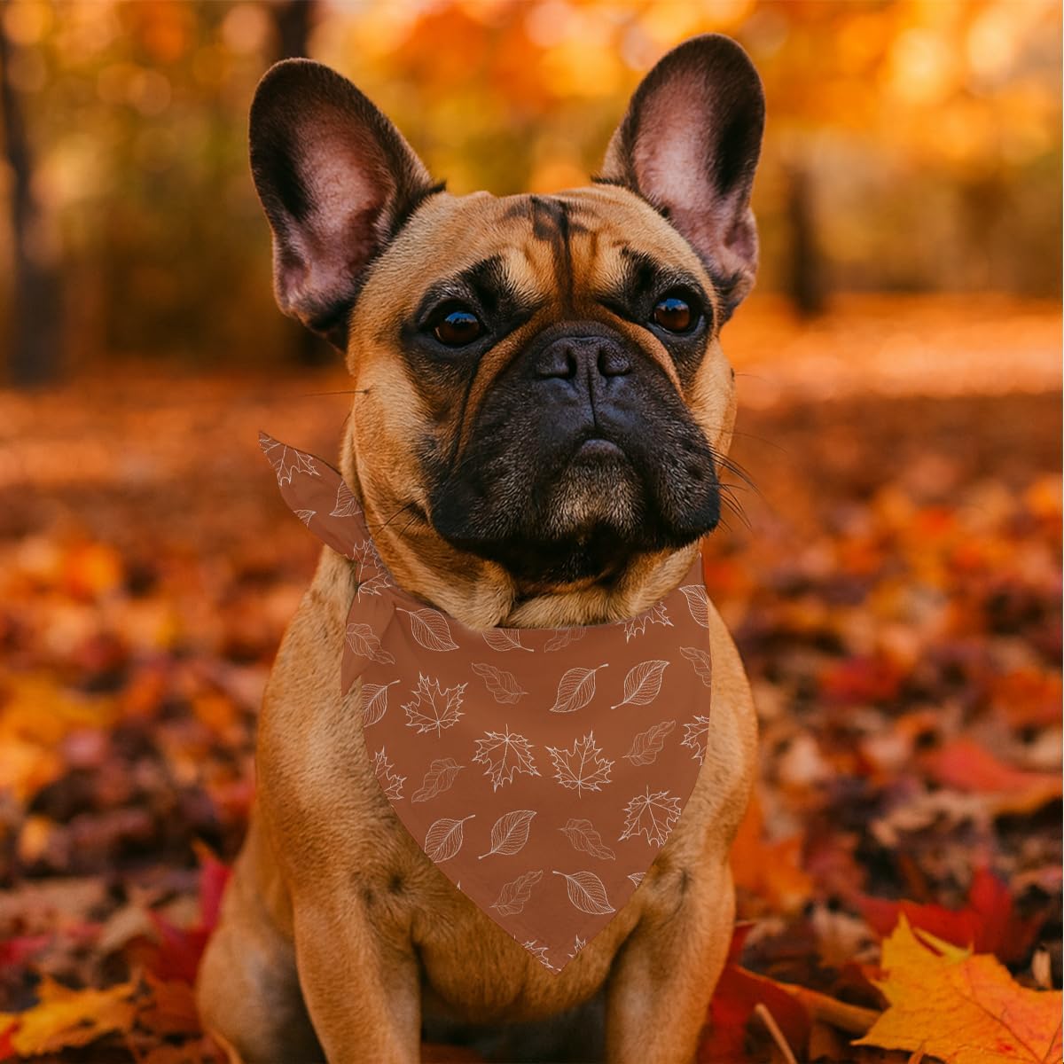 Fall Dog Bandanas Orange Autumn Leaves Print Pet Scarf for Boy and Girl Holiday Bandana for Medium and Small Dogs Fancy Thanksgiving Gifts for Dogs