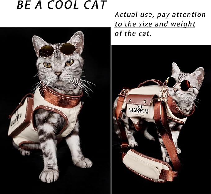 Dog Lift Harness Dog Carrier VES Harness Adjustable Leash with Small Puppy Treat Bag,Fits Most Cars,M