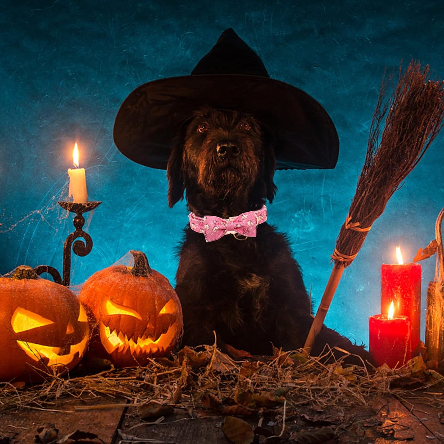 Elegant Little Tail Dog Collar with Bow, Adjustable Halloween Pumpkin Bowtie Collar for Small to Large Dogs