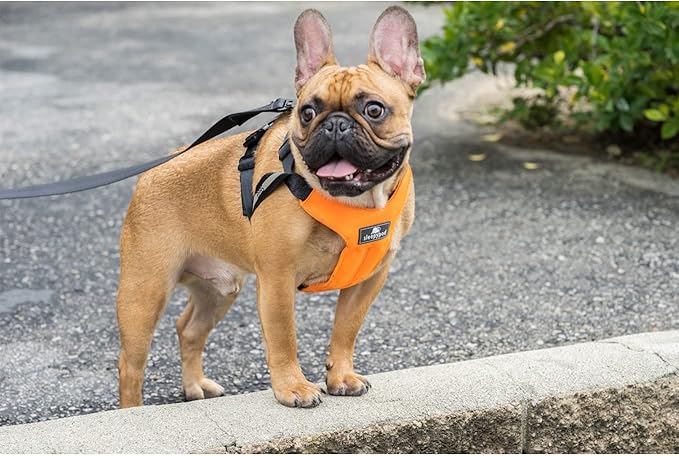 Clickit Sport Plus - Crash-Tested and Safety Certified Car Seat Belt Harness for Dogs (Large, Olive Green)