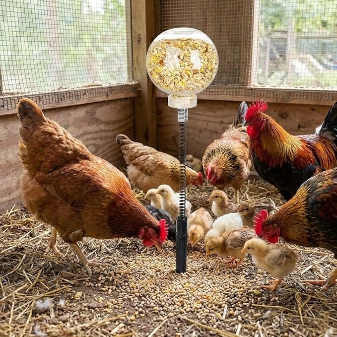 2 Pack Chicken Pecking Toys, Chick Interactive Slow Feed Enrichment Toy, Chicken Swing Feeder with Spring and Ground Stake, Coop Accessories for Hens Poultry Duck Birds Parrots