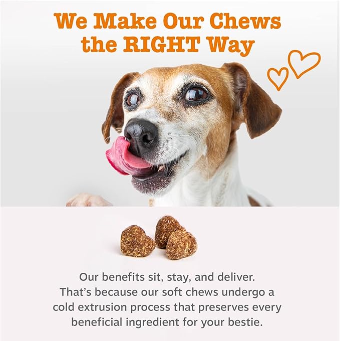 Zesty Paws Dog Allergy Relief Chews, Dog Probiotics for Itchy Skin and Ears, Lamb, 250ct