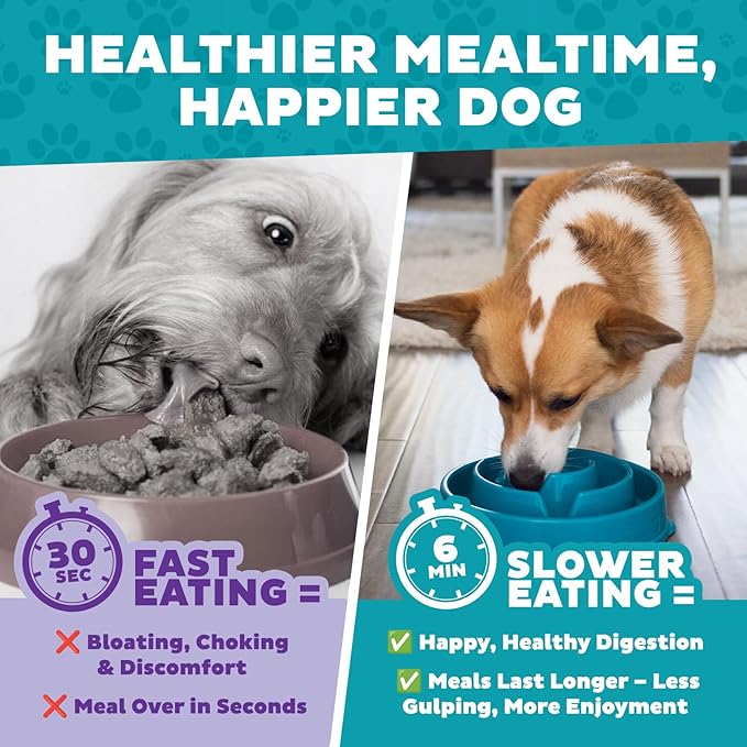 Outward Hound Fun Feeder Slo Bowl – Medium 2‑Cup Capacity, Slow Feeding, Small to Medium Dogs & Cats, Non-Slip, Turquoise, Drop Pattern (Pack of 12)
