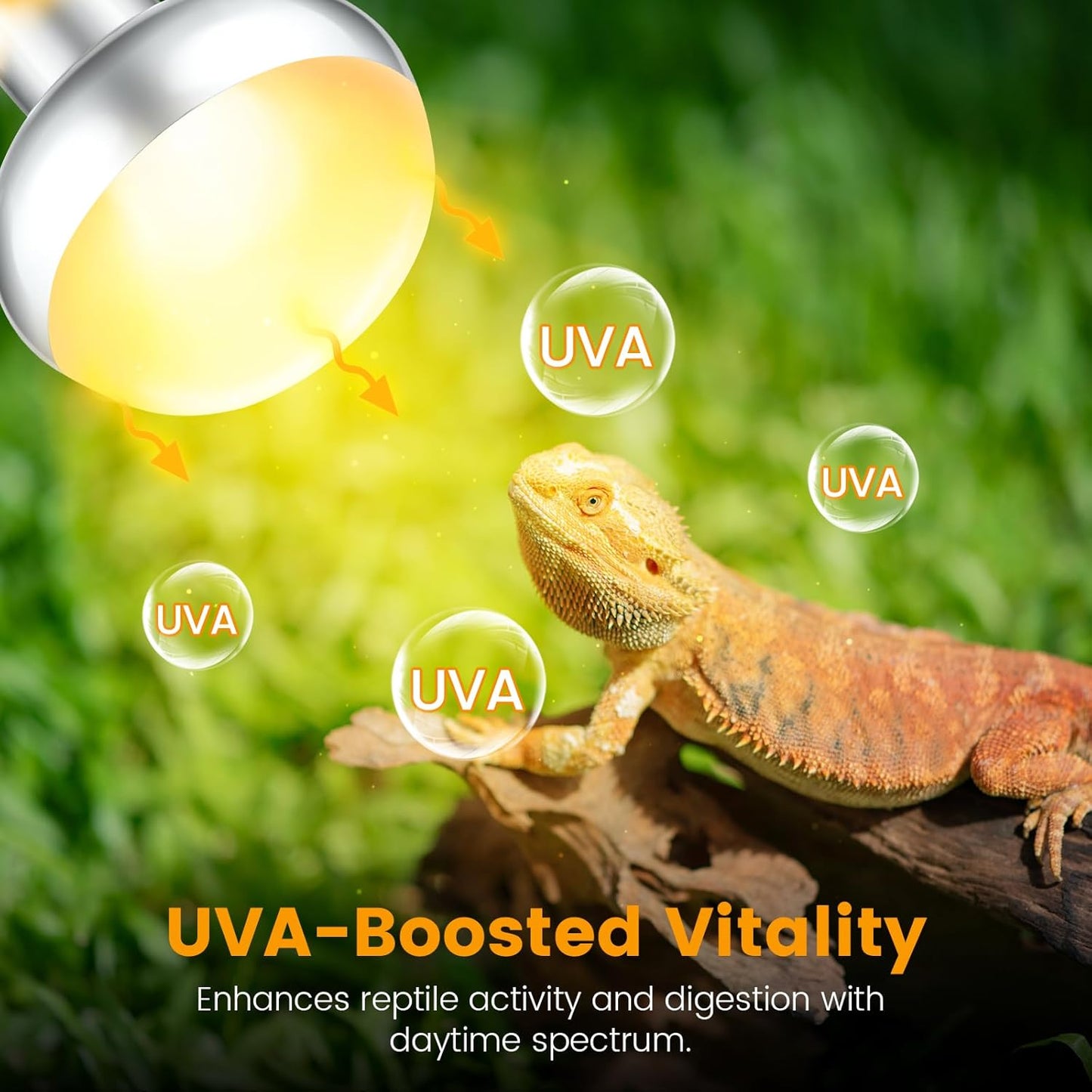 Dual Reptile Light Fixture with 100W Daytime Heat Bulb & 100W Nighttime Ceramic Heat Emitter, 2 Independent Switches, Reptile Heat Lamp Combo Pack - No UVB