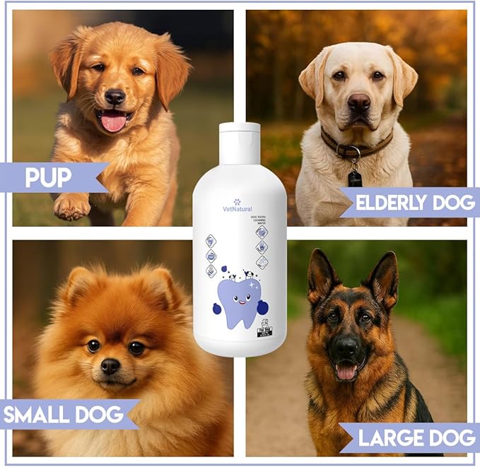 PawBright Dental Plus, Dog Dental Plus Water Natural, Odorless & Flavorless Formula to Fight Tartar Promote Healthy Gums, Easy Daily Use for All Pet 1pcs 8.45oz