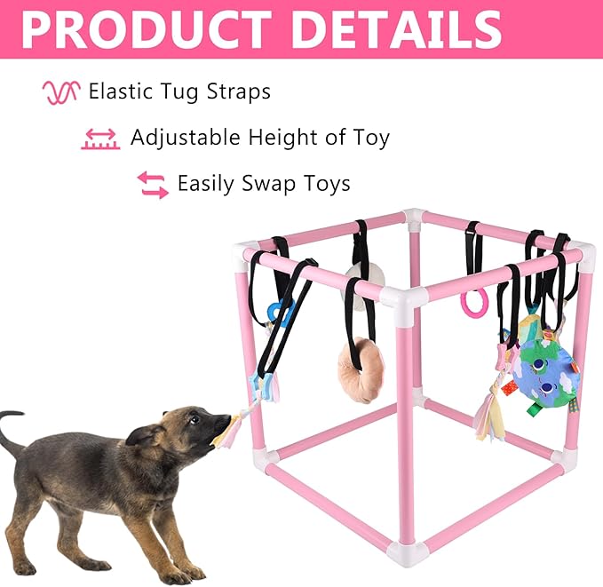 Puppy Play Gym with 10 Hanging Toys for Small Dogs Indoor Jungle Playground PVC Frame with Interactive Funny Enrichment Toys Dogs Activity Center Durable, Lightweight