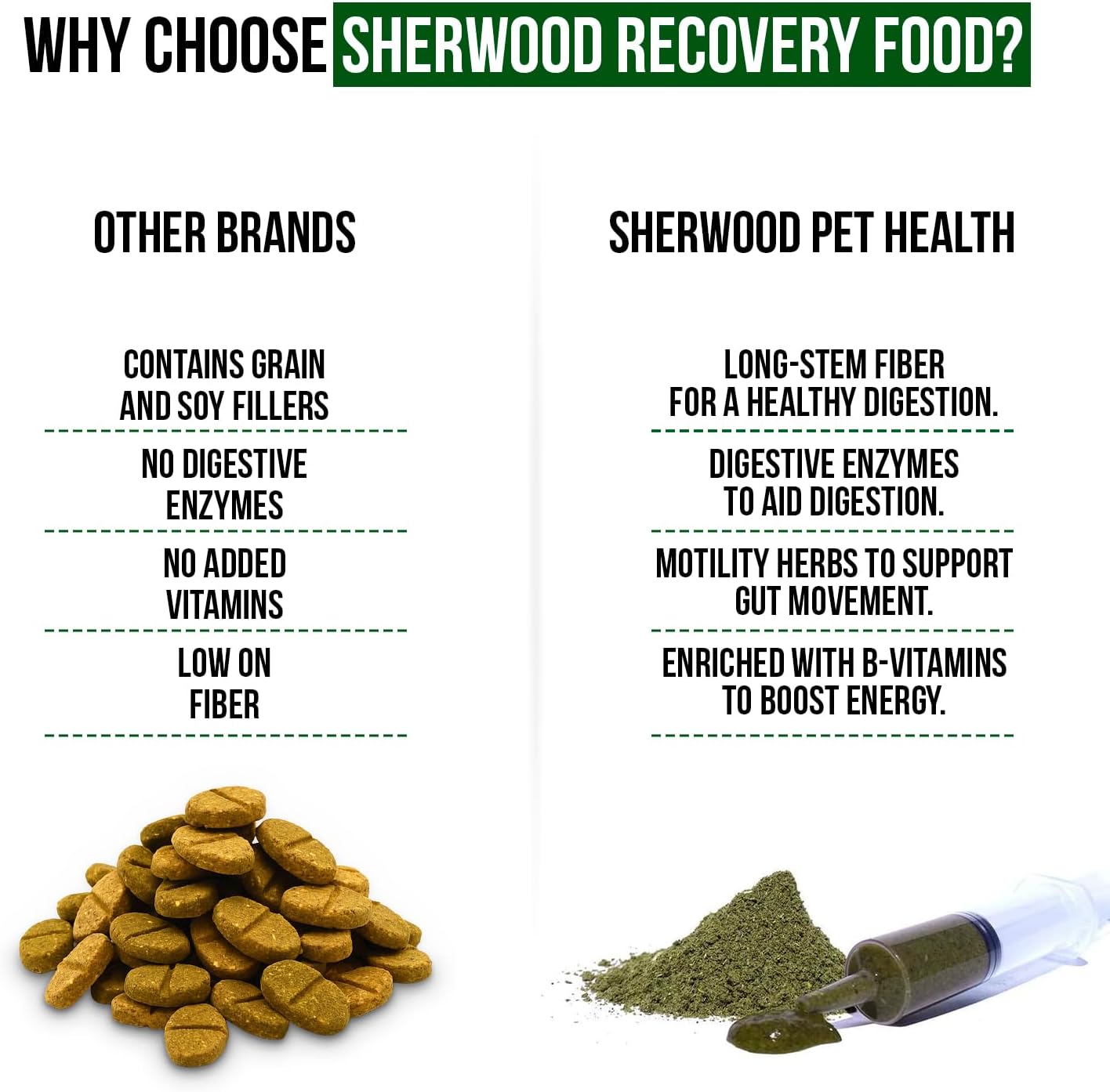 Pet Guinea Pig Emergency Kit with Timothy Recovery Food (Large Emergency Kit)