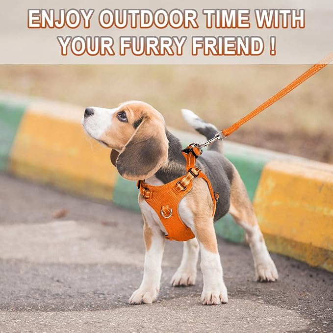 Dog Harness Step in Dog Vest Harness, Reflective Adjustable Puppy No Pull Harness Breathable Soft for Small and Medium Dogs Cats, Orange, XS