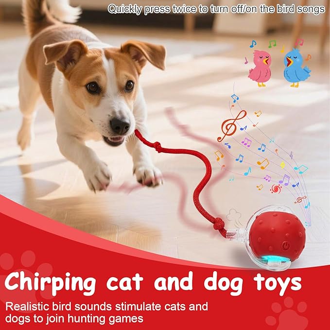 Interactive Cat Toys Smart Ball for Cats & Dogs! Now with 2 Rapid Tails. Features: 360°Auto-Rolling, Motion Activation& Bird Sounds. Perfect for Indoor Pet Exercise & Fun. (Red＆Blue)