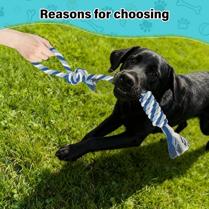 Flirt Pole for Dogs with 4 Rope Chew Toys, Dog Flirt Pole with Carry Bag for Outdoor Training and Exercise, Detachable Teaser Wand for Small, Medium Dogs