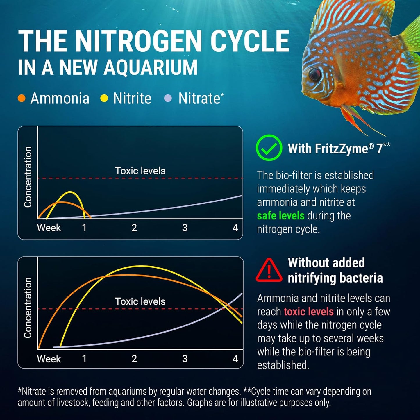 Fritz Aquatics FritzZyme 7 Live Nitrifying Bacteria Naturally Removes Amonia & Nitrite for Freshwater Fish (32-Ounce)