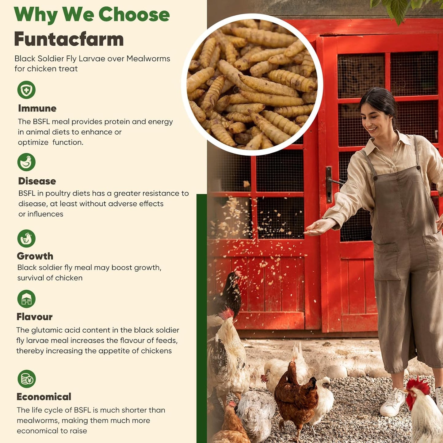 Dried Worms Black Solider Fly Larvae 5LB, Superior to Mealworms Chicken Treat, 86x Calcium Than Meal Worms, 100% Non-GMO Organic Chicken Feed