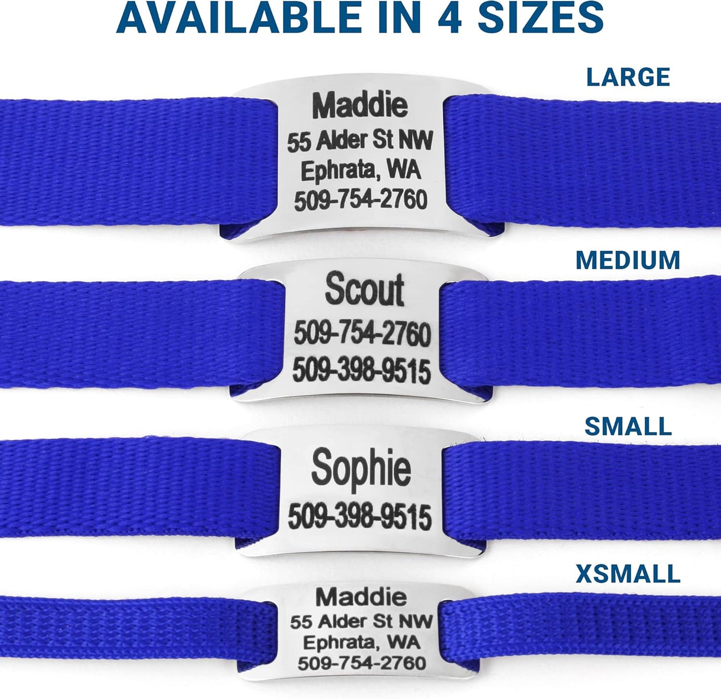 GoTags Personalized Dog Collar with Nameplate, Adjustable Dog Collar with Custom Engraved Slide On Pet ID Tag in Stainless Steel, Silent, No Noise Dog Tag for Large Medium and Small (Blue, Medium)