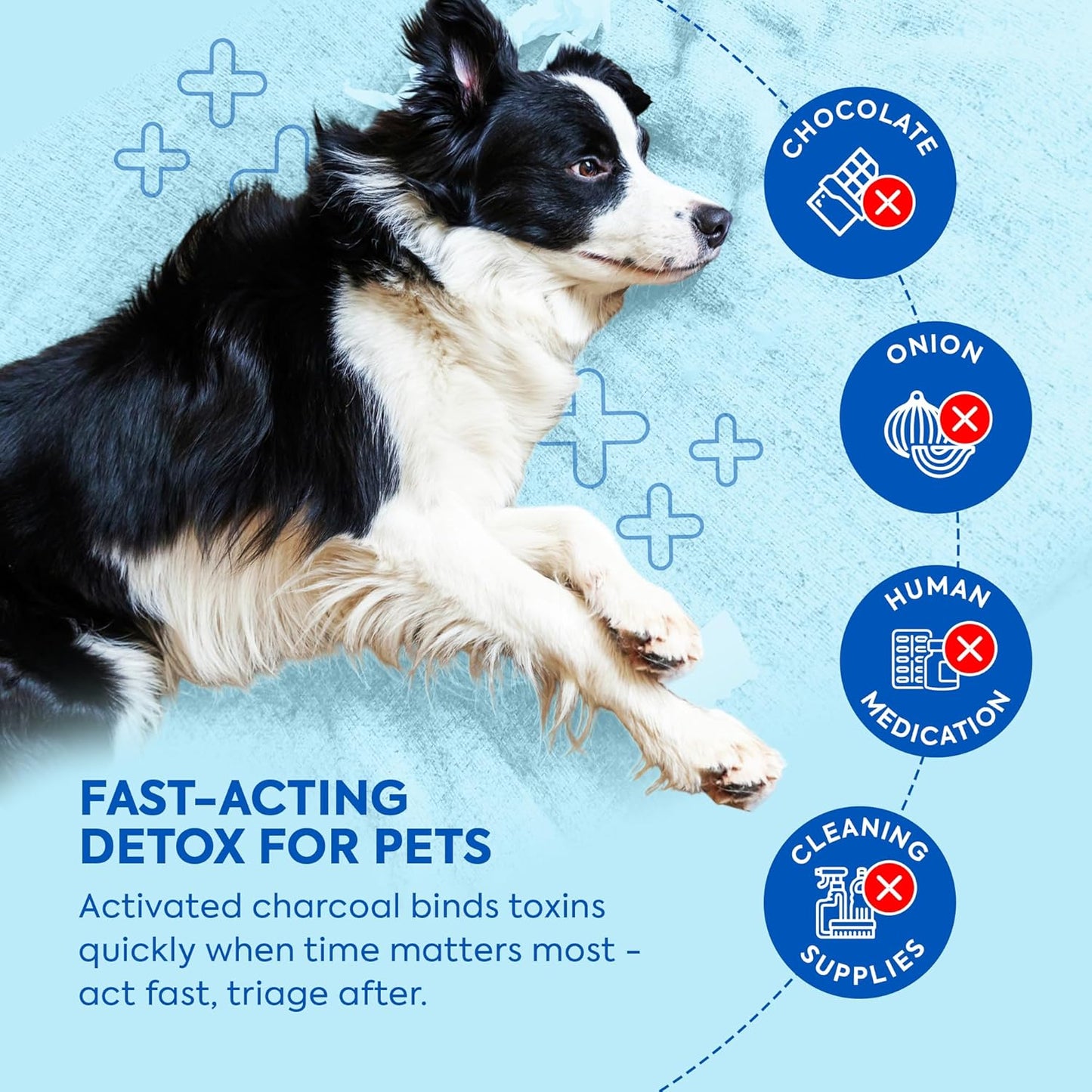 Dr. Cuddles ReadyRESCUE - Dog First Aid Kit Essential - Activated Charcoal Detox for Dogs, Cats, Pets - Animal First Aid Kit - Dog Medical Emergency Kit - Dog Travel Essentials - 30g (1 Vial of 30g)