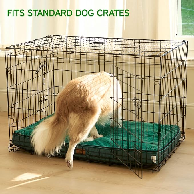 Memory Foam XL Dog Bed - 4” Thick Orthopedic Beds for Extra Large Dogs - Waterproof Dog Bed with Removable Washable Cover & Wrap-Around Zipper - Ultimate Comfort and Easy Maintenance, Green