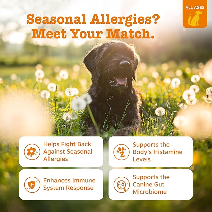 Zesty Paws Dog Allergy Relief Chews, Dog Probiotics for Itchy Skin and Ears, Lamb, 250ct